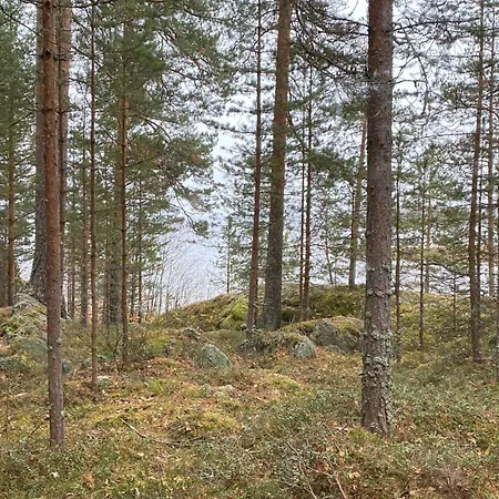 Hébergement de vacances Moenni Saari *