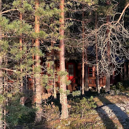 Moenni Saari Savonlinna