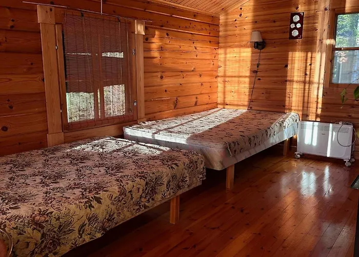 度假居 Moenni Saari 萨翁林纳