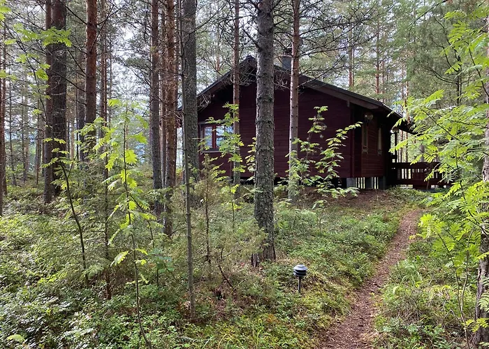 Moenni Saari 萨翁林纳