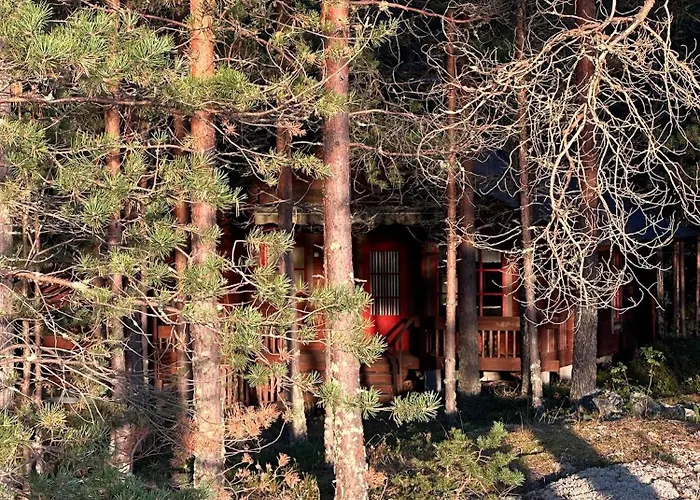 Moenni Saari 萨翁林纳